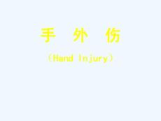 手外伤教学用
