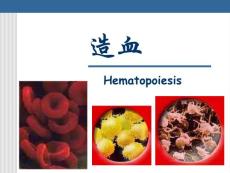 造血器官