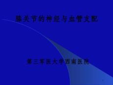 骨外固定技术治疗难治性骨不连与骨缺损_ok