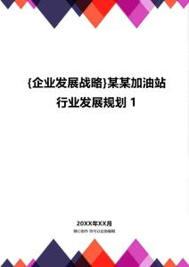 {企業(yè)發(fā)展戰(zhàn)略}某某加油站行業(yè)發(fā)展規(guī)劃1