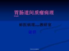 胃肠道间质瘤解读课件