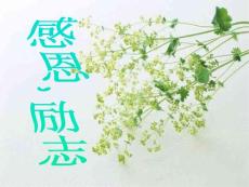 高一主题班会《感恩,励志》精品课件