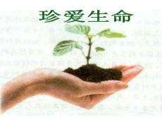 小学五年级《珍爱生命》主题班会课件