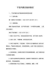 55子宫内膜炎