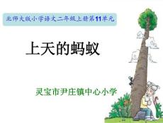 上天的蚂蚁