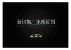 巨凝金水岸營銷推廣策略