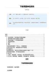 下肢周围神经损伤（实用应用文）