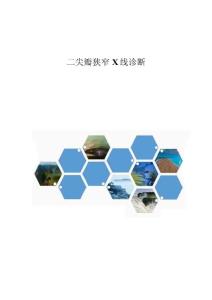 二尖瓣狭窄X线诊断