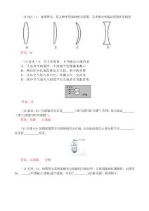 【一轮专题】2011年全国各地中考物理试题分类汇编（150套）透镜基础题