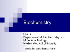 第12章amino acid metabolism