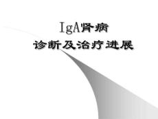 iga肾病