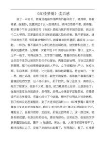 《红楼梦魇》读后感
