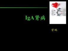 iga肾病-ppt课件