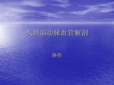 头颈部血管解剖