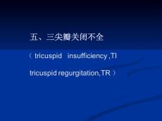 三尖瓣、肺动脉瓣关闭不全、老性新瓣膜病变ppt课件