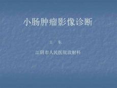小肠肿瘤影像诊断学