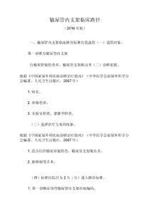 输尿管结石临床路径