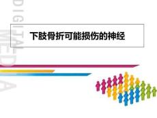 下肢骨折可能损伤的神经ppt课件