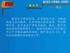 眼外伤ppt课件