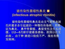 猪传染性萎缩性鼻炎PPT
