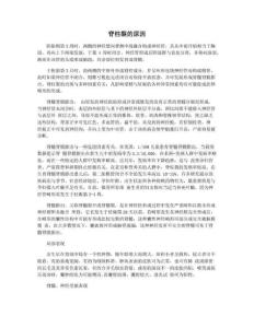 脊柱裂的原因