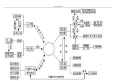 高中政治常识体系图