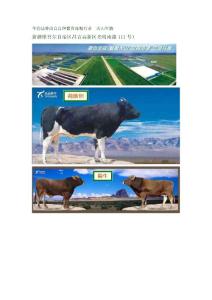 牛的品种改良良种繁育冻精行业  300313 天山生物