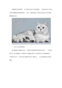 老猫视力模糊抵抗力弱吃什么老猫视力减退吃牛磺酸有用吗