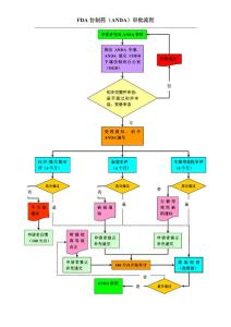 ANDA申報流程