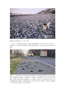 2012全球動物集體死亡事件