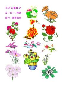 花卉矢量圖大全（四）：精美鮮花圖片，插圖素材
