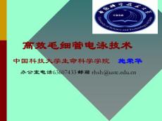 高效毛細管電泳技術