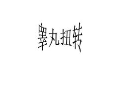 睾丸扭转ppt医学课件