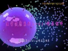 色素障碍性皮肤病〖精品课件〗