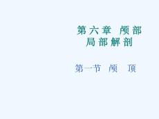 颅底解剖 课件