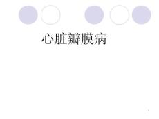 瓣膜病zhihong