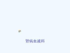 肾病医学课件