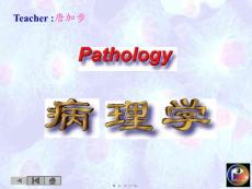 结核课件结核病