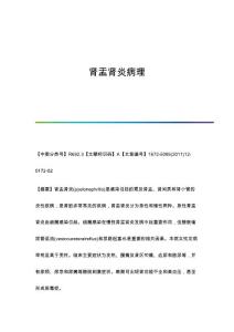 肾盂肾炎病理