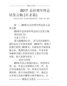 2017總經理年終總結發言稿(共2篇)