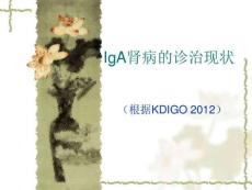 IgA肾病诊治现状