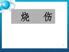 《烧伤冷伤咬螫伤》ppt课件_ok