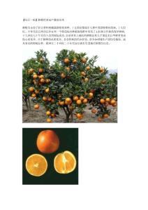 脐橙优质高产栽培技术