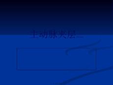 主动脉夹层动脉瘤