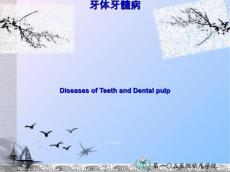牙体牙髓病