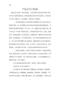 严防羔羊白肌病