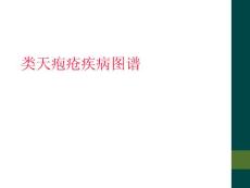 类天疱疮疾病图谱