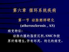 《动脉粥样硬化》