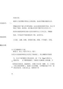 小鼠脊髓半横切