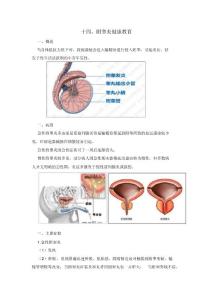 附睾炎健康教育